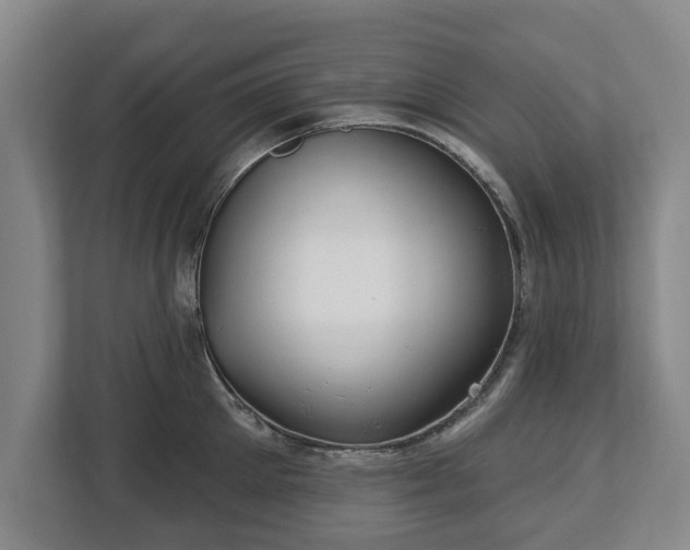 X0000112740905200908271519