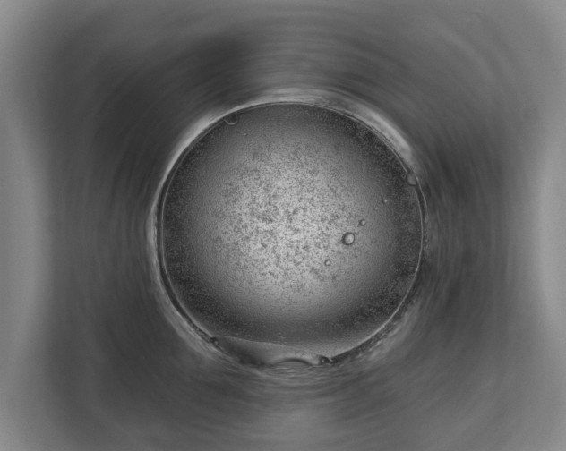 X0000112740907200908271519