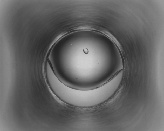 X0000112740909200908271519