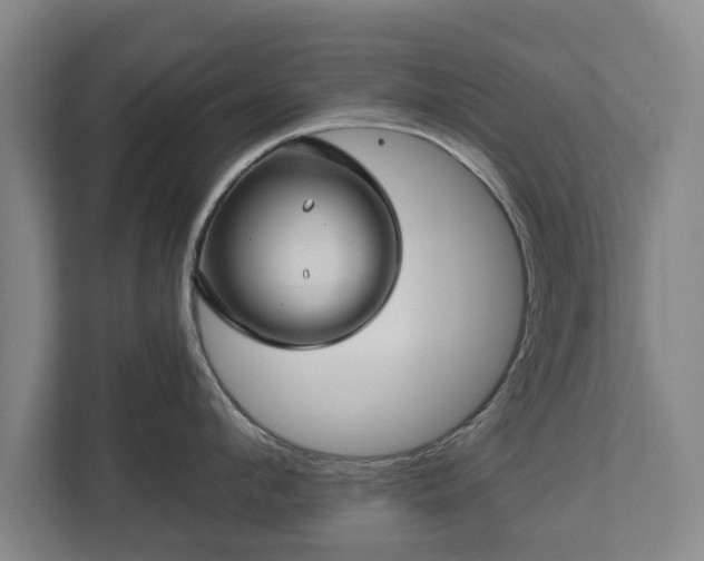 X0000112740912200908271519