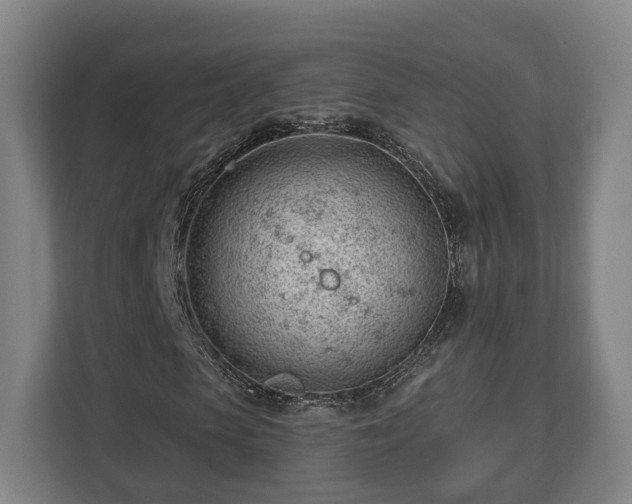 X0000112740913200908271518