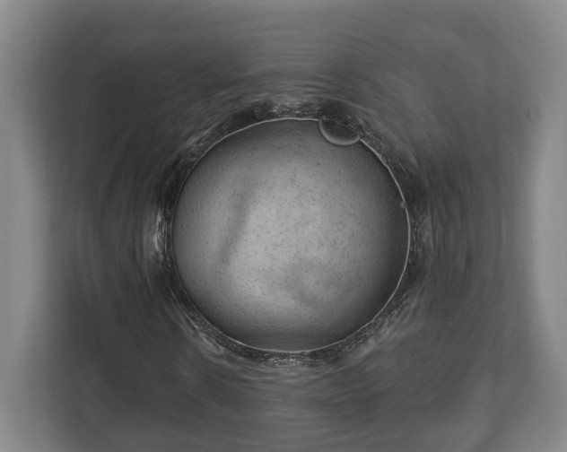 X0000112740914200908271518