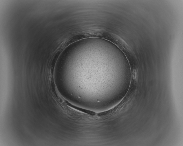 X0000112740915200908271518