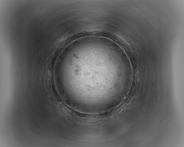 X0000112740917200908271518