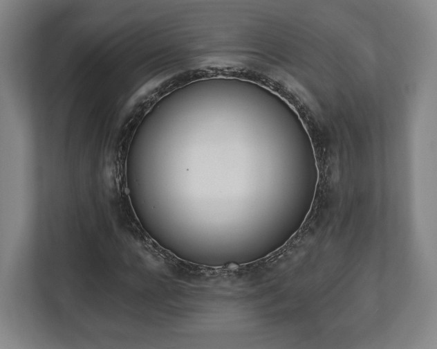 X0000112740920200908271518