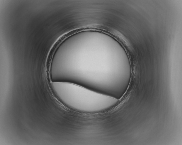 X0000112740924200908271518