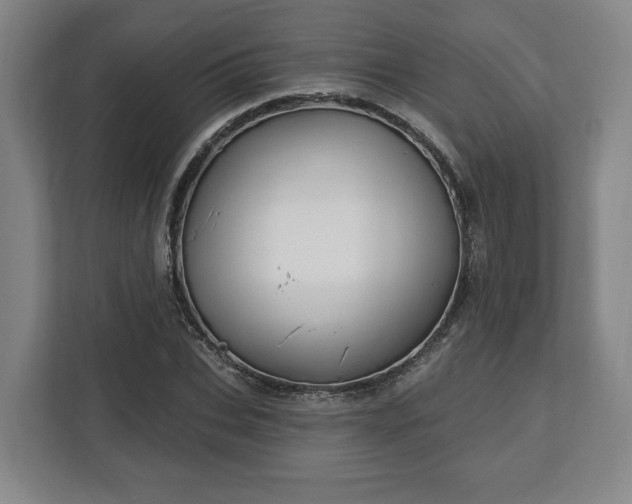 X0000112740927200908271518
