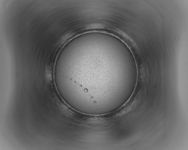 X0000112740929200908271518