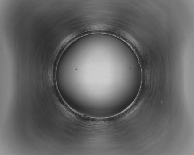 X0000112740930200908271518