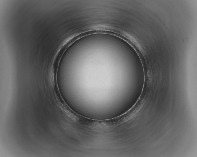 X0000112740931200908271518