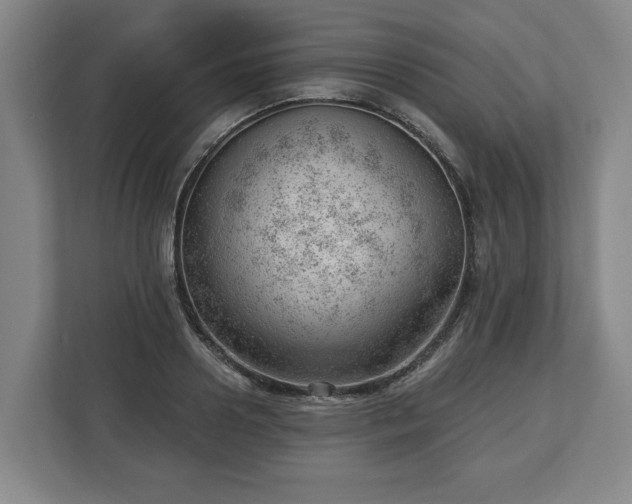 X0000112740938200908271519