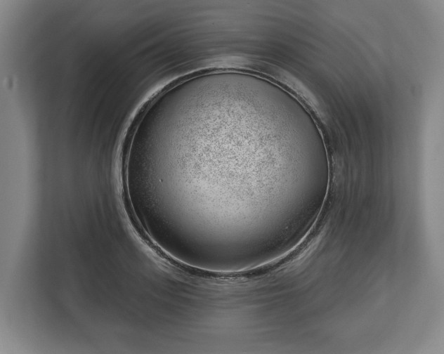 X0000112740939200908271519