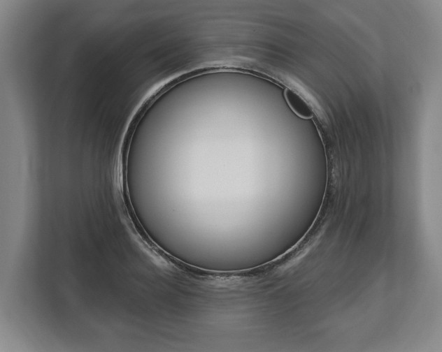 X0000112740940200908271519