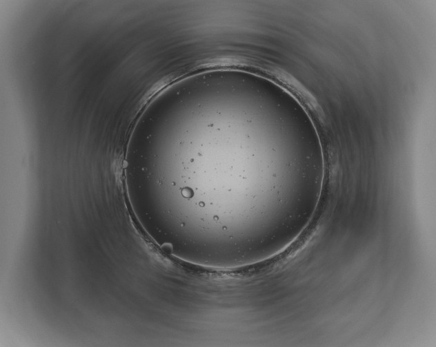 X0000112740945200908271519