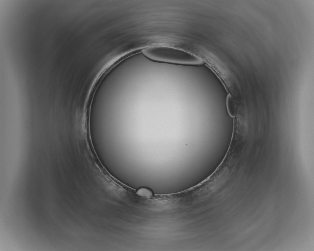 X0000112740948200908271519