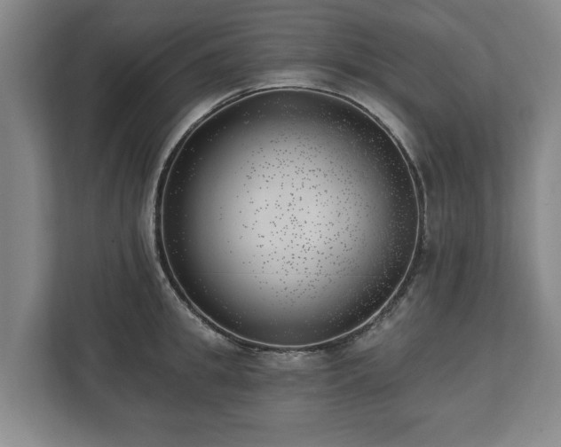 X0000112740949200908271519