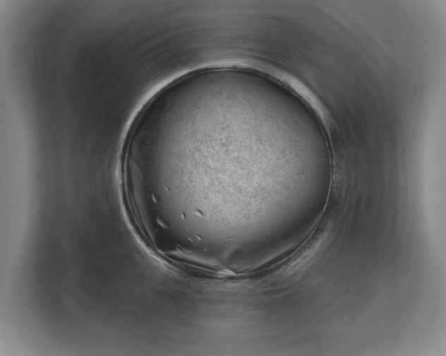 X0000112740951200908271519