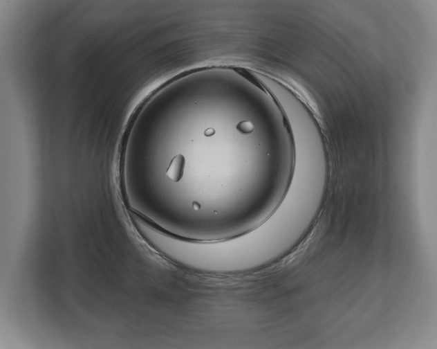 X0000112740952200908271519