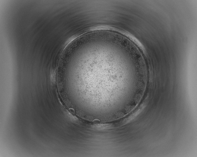 X0000112740953200908271519