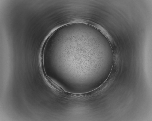 X0000112740955200908271519