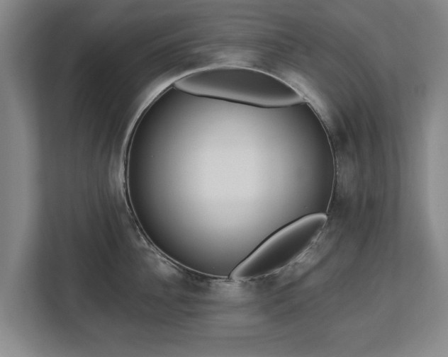 X0000112740956200908271519