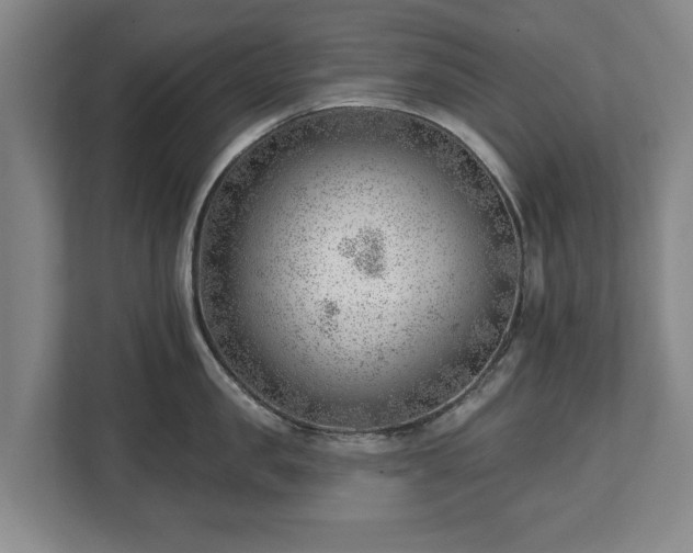 X0000112740957200908271519