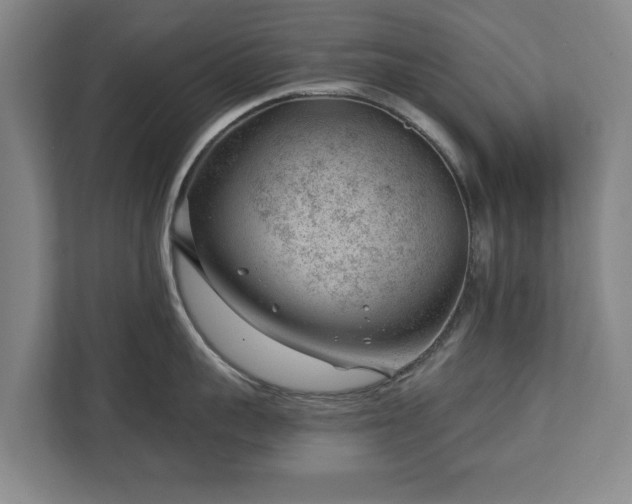 X0000112740959200908271519