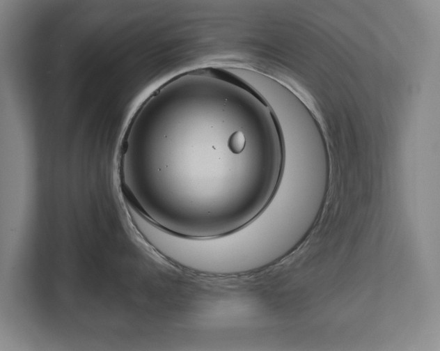 X0000112740960200908271519