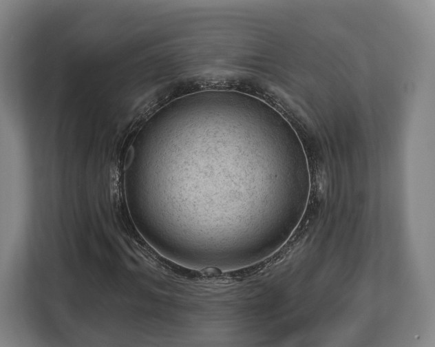 X0000112740964200908271518