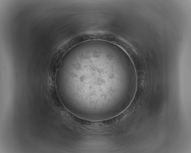 X0000112740966200908271518