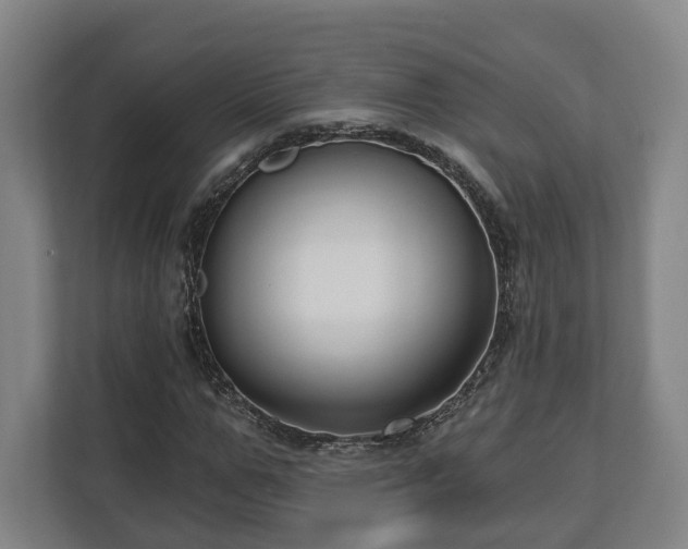 X0000112740967200908271518
