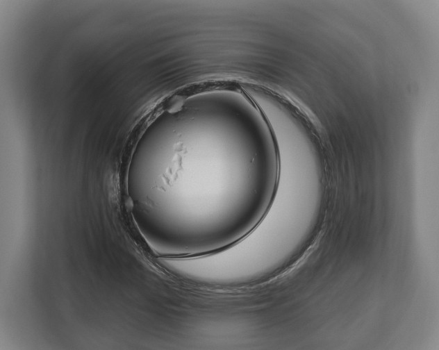 X0000112740969200908271518