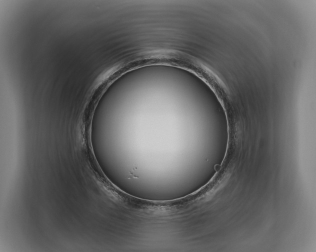 X0000112740970200908271518