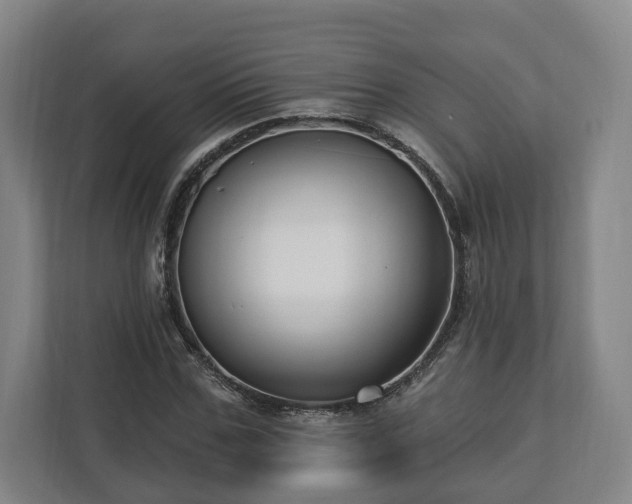X0000112740971200908271518
