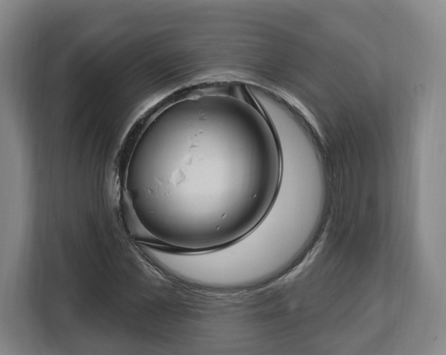 X0000112740973200908271518