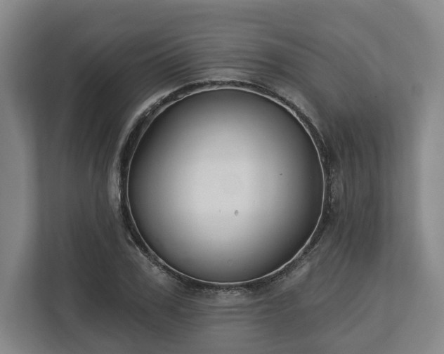 X0000112740979200908271518