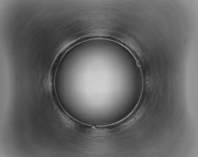 X0000112740981200908271518