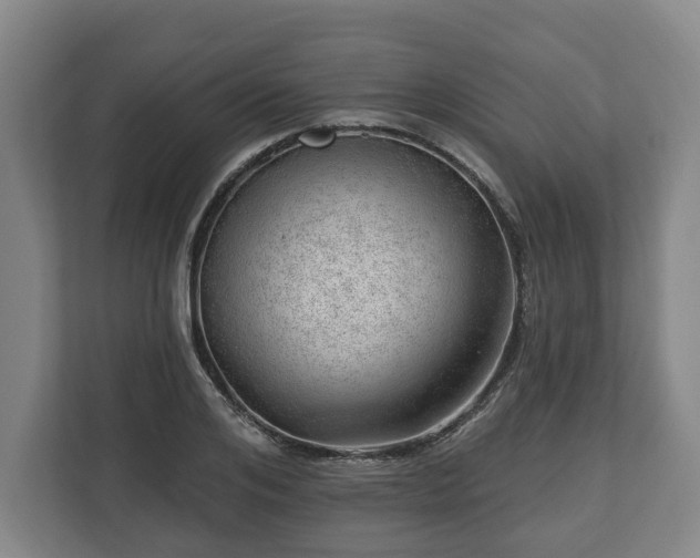 X0000112740984200908271518