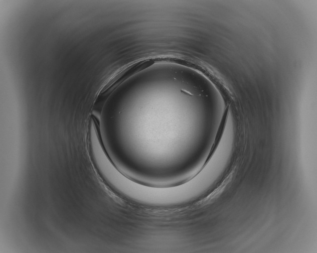 X0000112740985200908271518