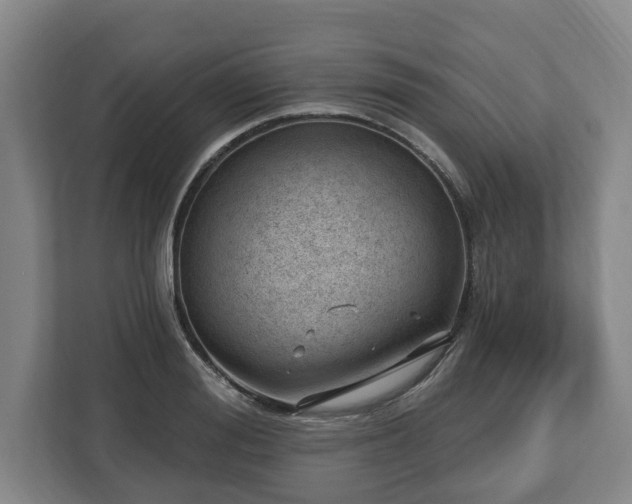 X0000112740988200908271518