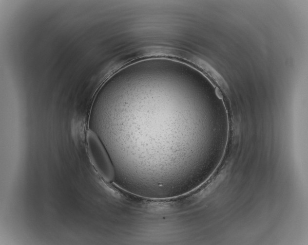 X0000112740993200908271518