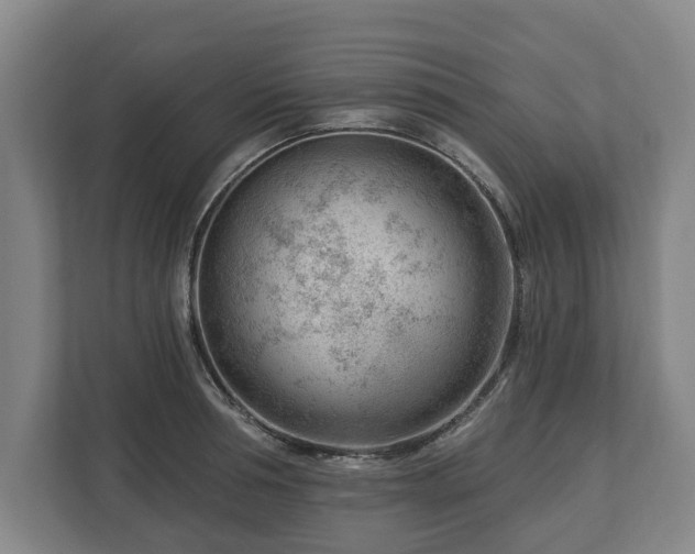 X0000112740994200908271518
