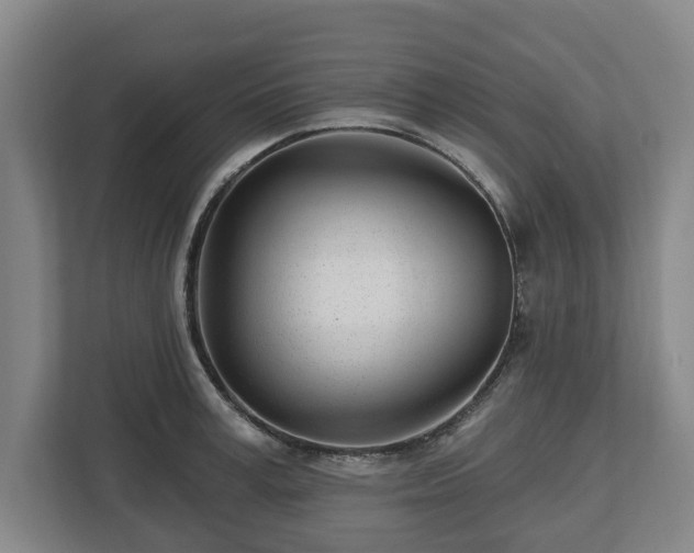 X0000112740995200908271518