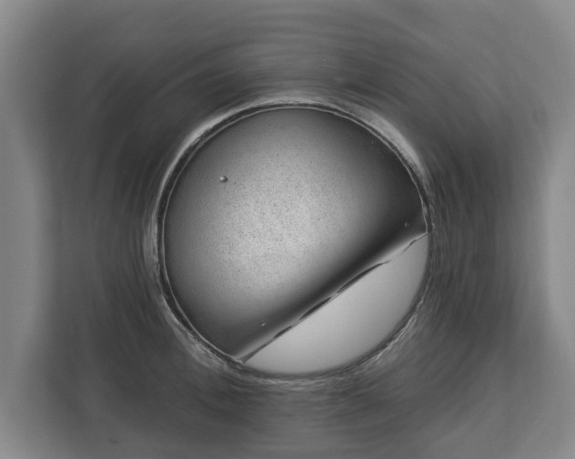X0000112740996200908271518