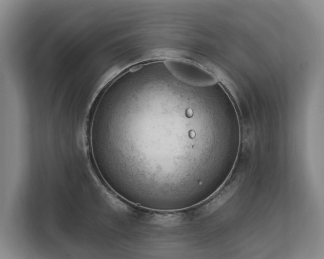X0000112740997200908271518