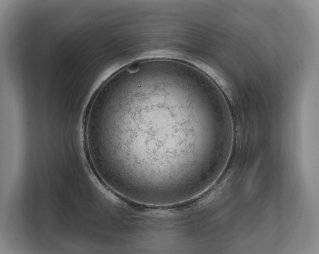 X0000112740998200908271518