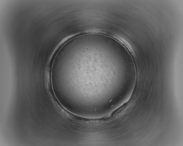 X0000112741000200908271518