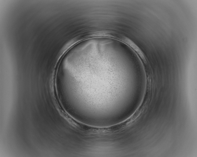 X0000112741002200908271518
