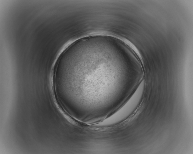 X0000112741005200908271518