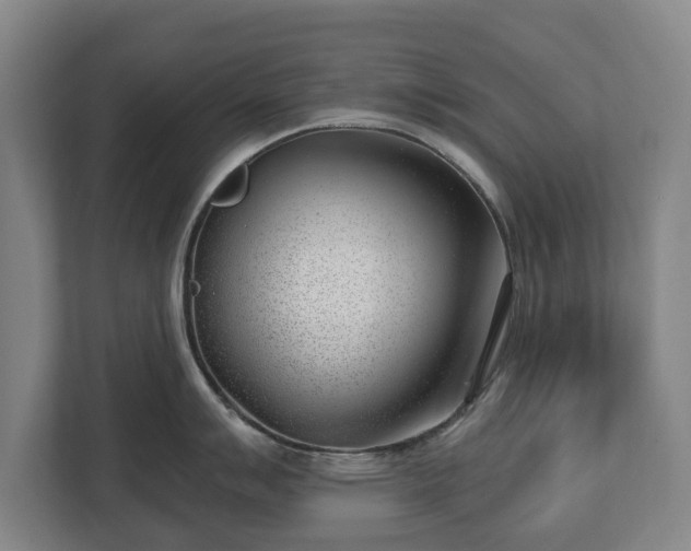 X0000112741007200908271518